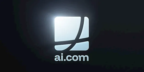 全球最贵域名诞生:约4.9亿!