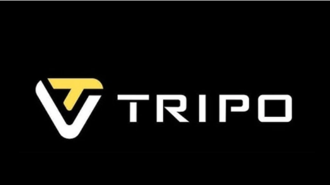 Tripo AI 斩获 1.5 亿美元 A3 轮，3D 世界模型成新宠